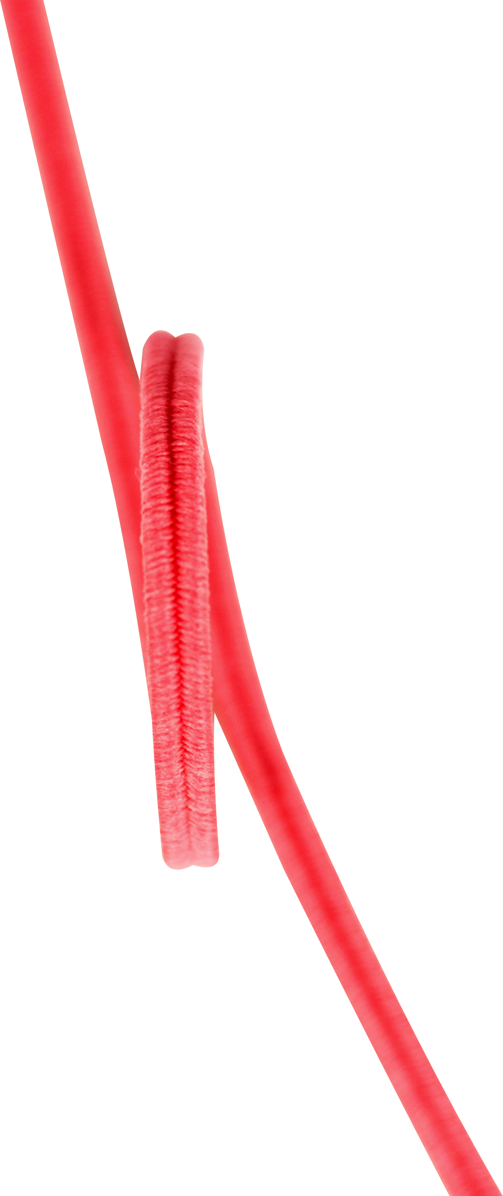 Bebe Lastik